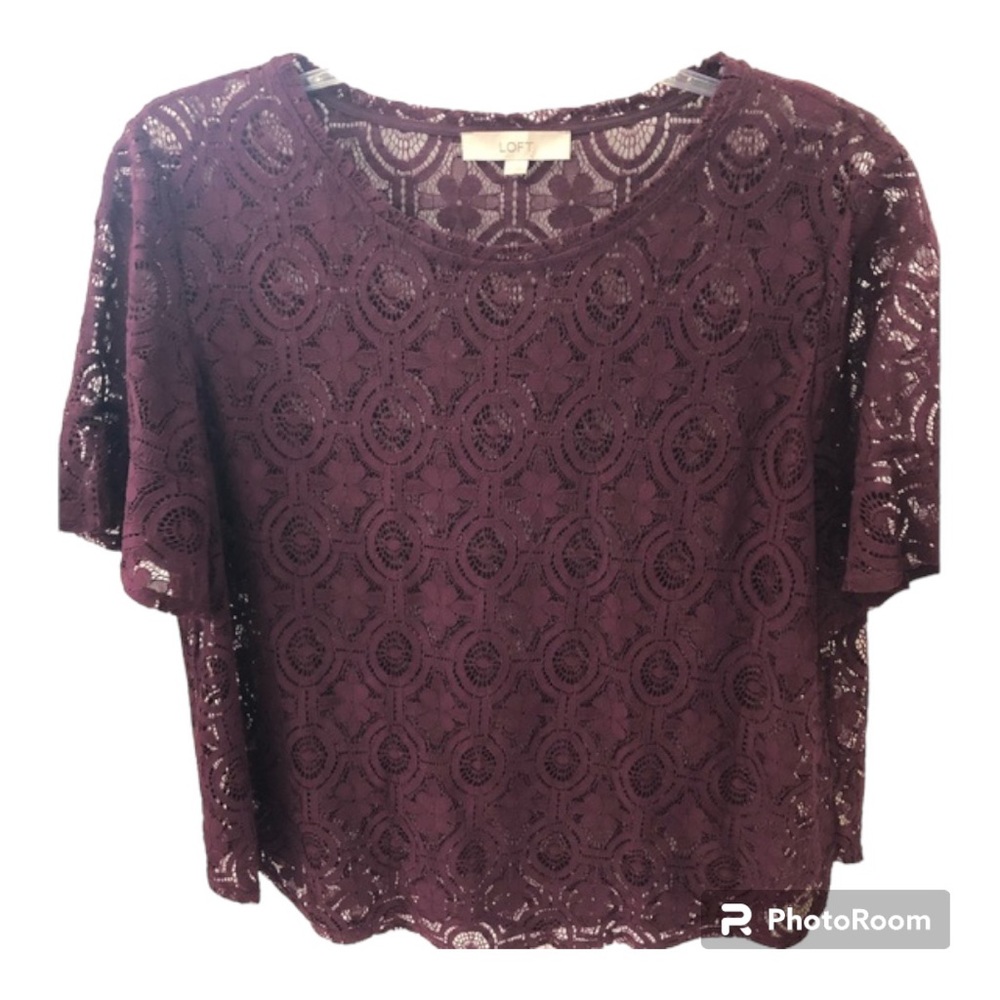 LOFT Women's Lace Short Sleeve Top - Burgundy